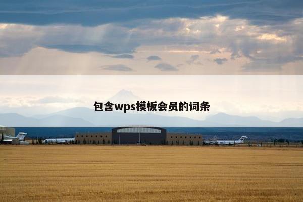 包含wps模板会员的词条