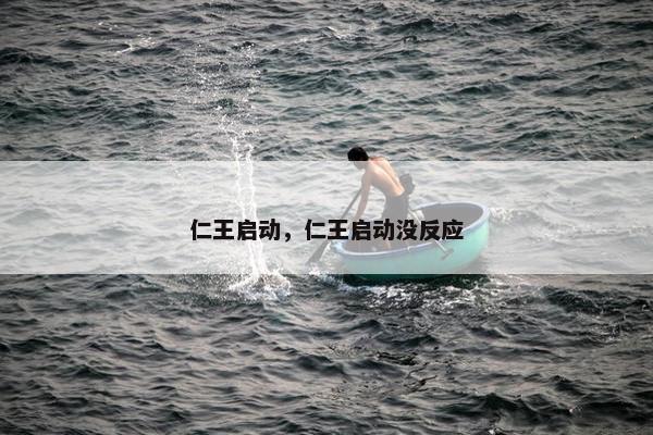 仁王启动，仁王启动没反应