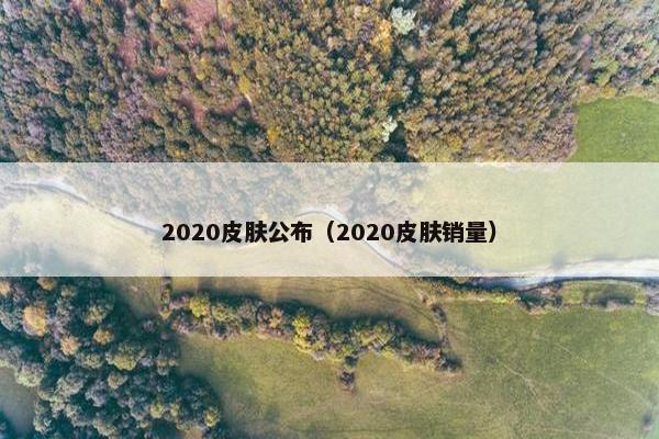 2020皮肤公布（2020皮肤销量）