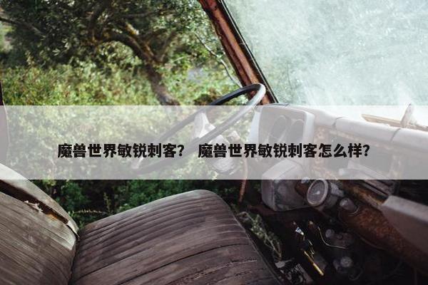 魔兽世界敏锐刺客？ 魔兽世界敏锐刺客怎么样？