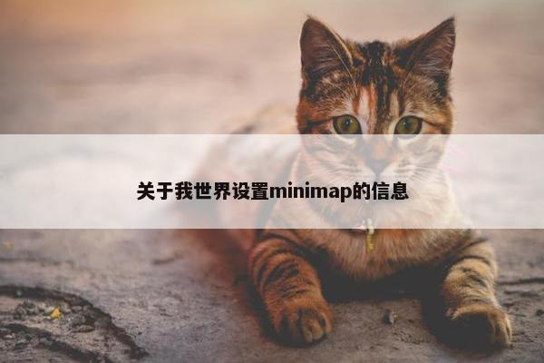 关于我世界设置minimap的信息