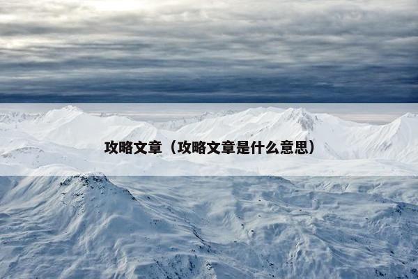 攻略文章（攻略文章是什么意思）