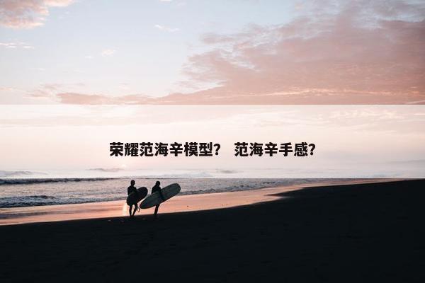 荣耀范海辛模型？ 范海辛手感？