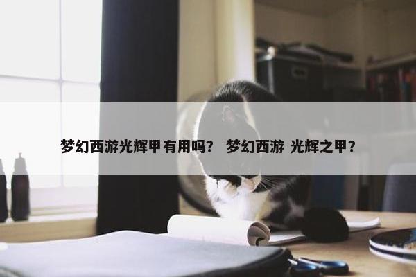 梦幻西游光辉甲有用吗？ 梦幻西游 光辉之甲？