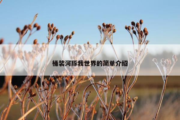 桶装河豚我世界的简单介绍