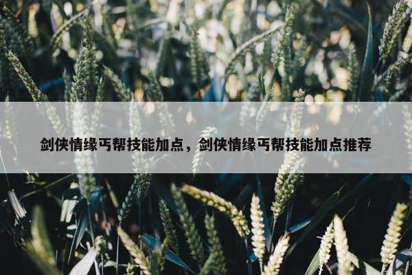 剑侠情缘丐帮技能加点，剑侠情缘丐帮技能加点推荐
