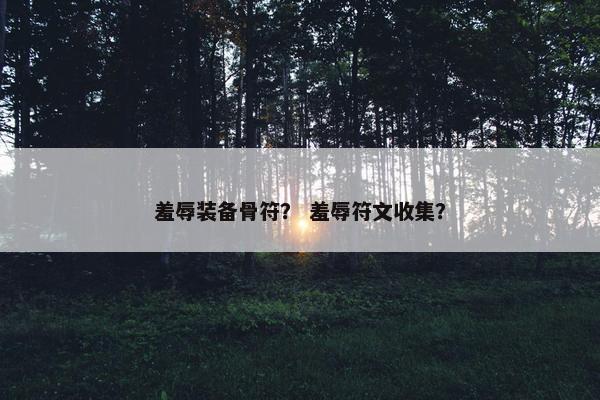 羞辱装备骨符？ 羞辱符文收集？