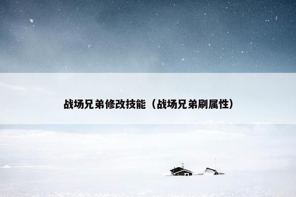 战场兄弟修改技能（战场兄弟刷属性）