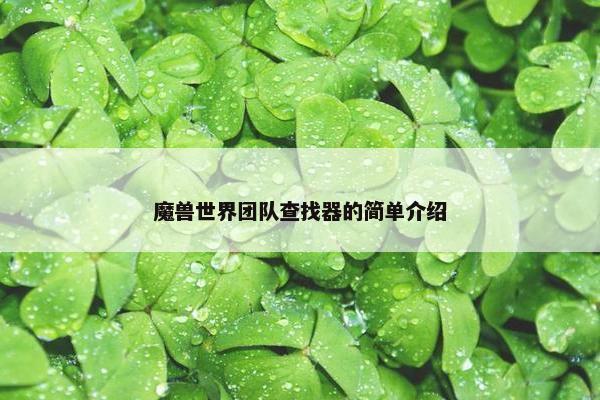 魔兽世界团队查找器的简单介绍