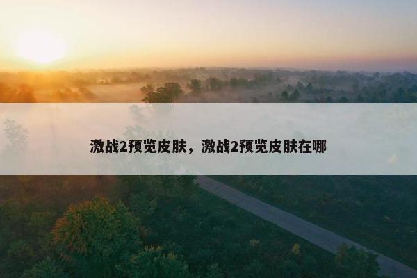 激战2预览皮肤，激战2预览皮肤在哪