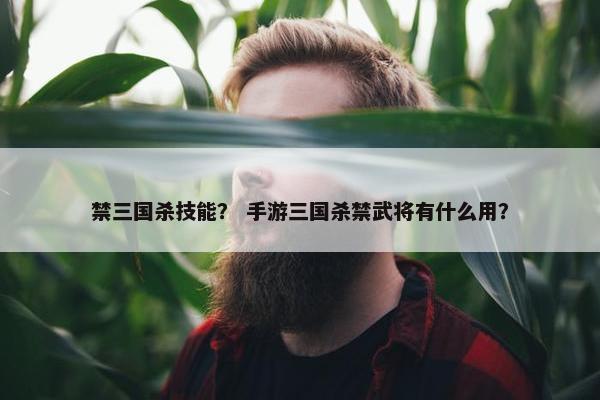 禁三国杀技能？ 手游三国杀禁武将有什么用？