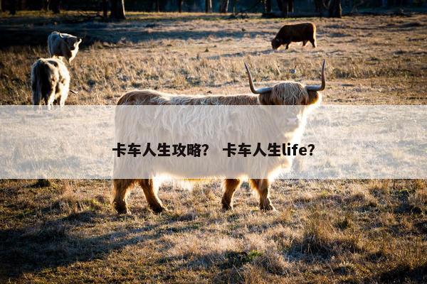 卡车人生攻略？ 卡车人生life？