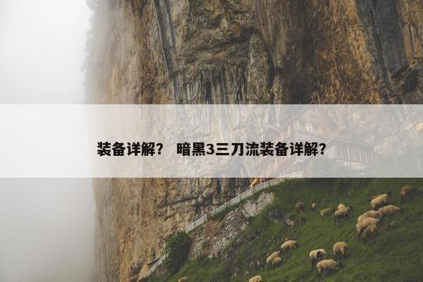 装备详解？ 暗黑3三刀流装备详解？