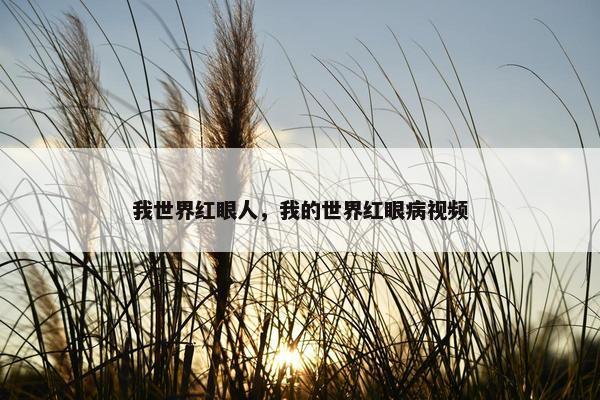 我世界红眼人，我的世界红眼病视频