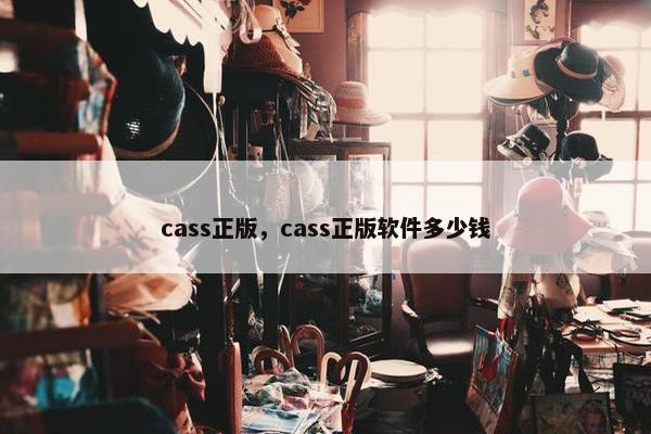 cass正版，cass正版软件多少钱