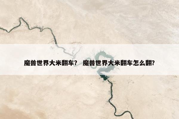 魔兽世界大米翻车？ 魔兽世界大米翻车怎么翻？