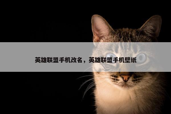 英雄联盟手机改名，英雄联盟手机壁纸