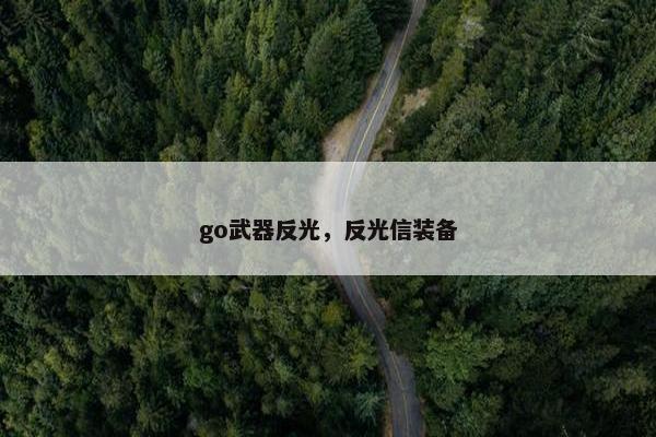 go武器反光，反光信装备