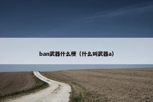 ban武器什么梗（什么叫武器a）
