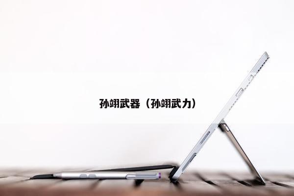 孙翊武器（孙翊武力）