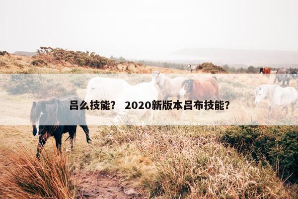 吕么技能？ 2020新版本吕布技能？