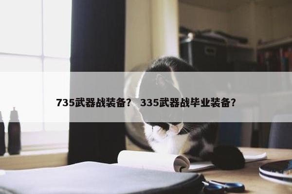 735武器战装备？ 335武器战毕业装备？