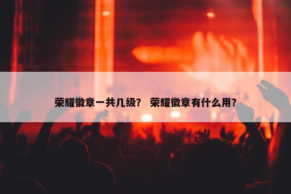 荣耀徽章一共几级？ 荣耀徽章有什么用？