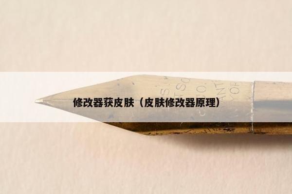 修改器获皮肤（皮肤修改器原理）