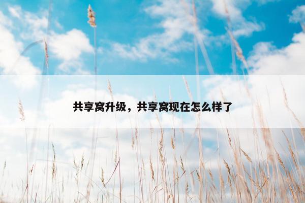 共享窝升级，共享窝现在怎么样了