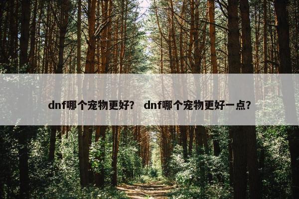 dnf哪个宠物更好？ dnf哪个宠物更好一点？