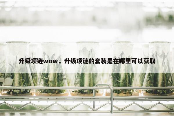 升级项链wow，升级项链的套装是在哪里可以获取