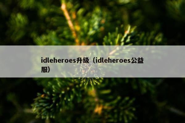idleheroes升级（idleheroes公益服）