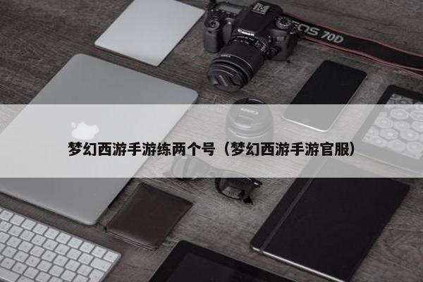 梦幻西游手游练两个号（梦幻西游手游官服）