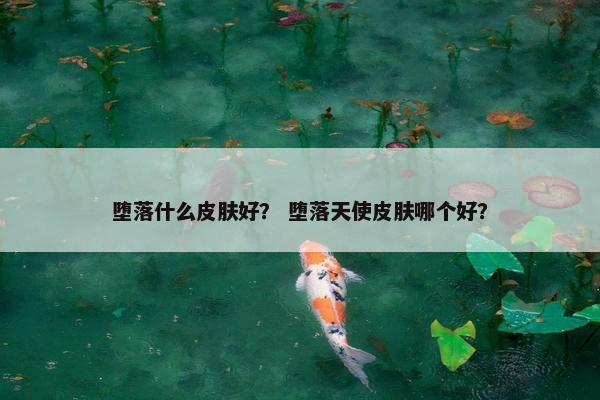 堕落什么皮肤好？ 堕落天使皮肤哪个好？