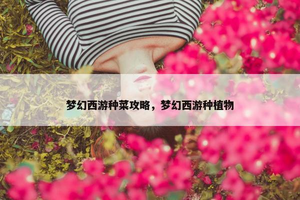 梦幻西游种菜攻略，梦幻西游种植物