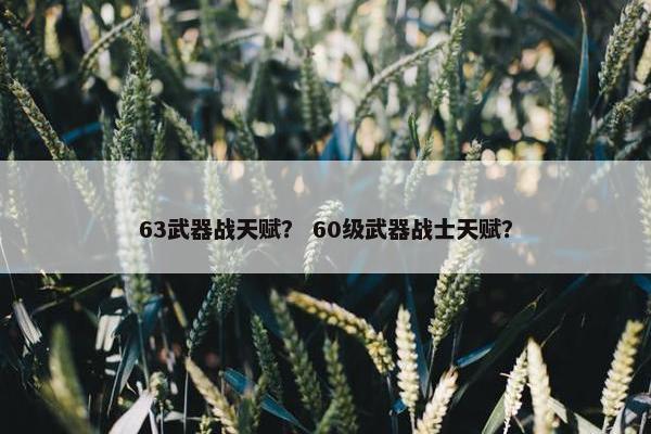 63武器战天赋？ 60级武器战士天赋？