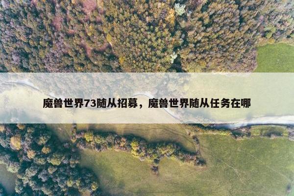 魔兽世界73随从招募，魔兽世界随从任务在哪