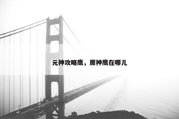 元神攻略鹰，原神鹰在哪儿
