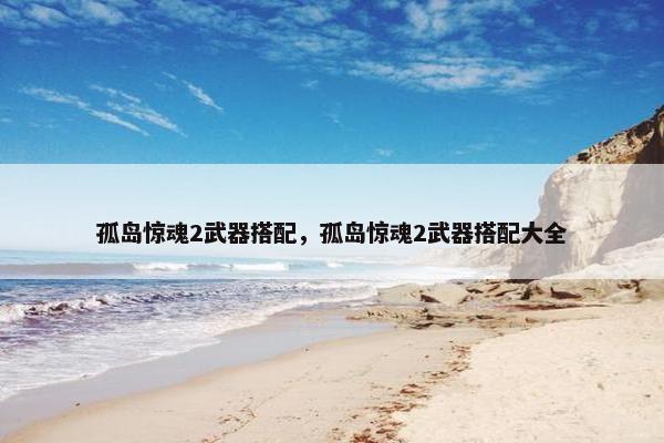 孤岛惊魂2武器搭配，孤岛惊魂2武器搭配大全