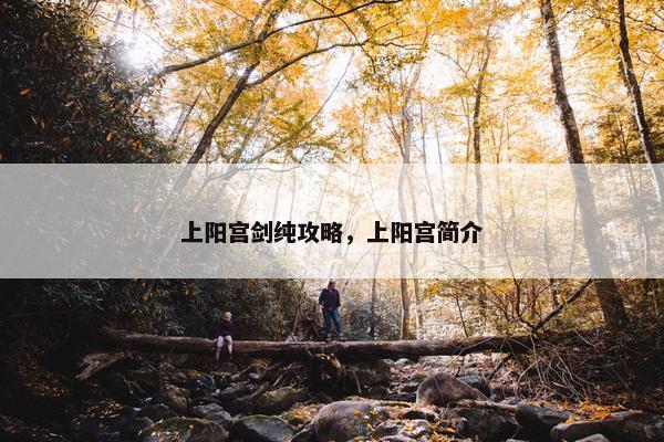 上阳宫剑纯攻略，上阳宫简介