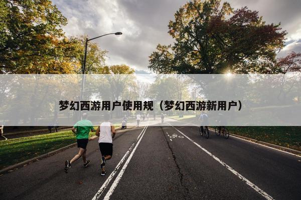 梦幻西游用户使用规（梦幻西游新用户）