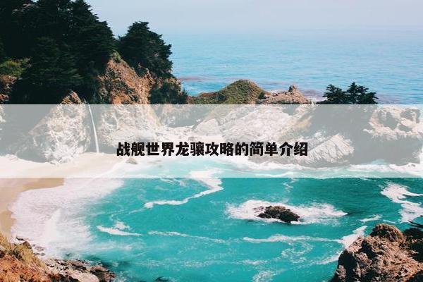 战舰世界龙骧攻略的简单介绍
