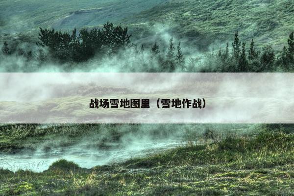 战场雪地图里（雪地作战）