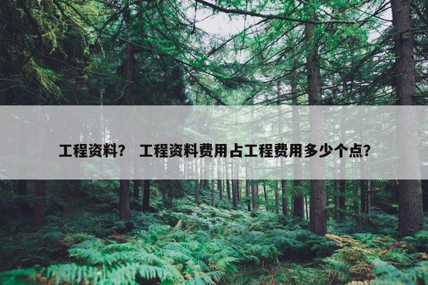工程资料？ 工程资料费用占工程费用多少个点？