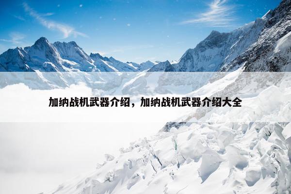 加纳战机武器介绍，加纳战机武器介绍大全
