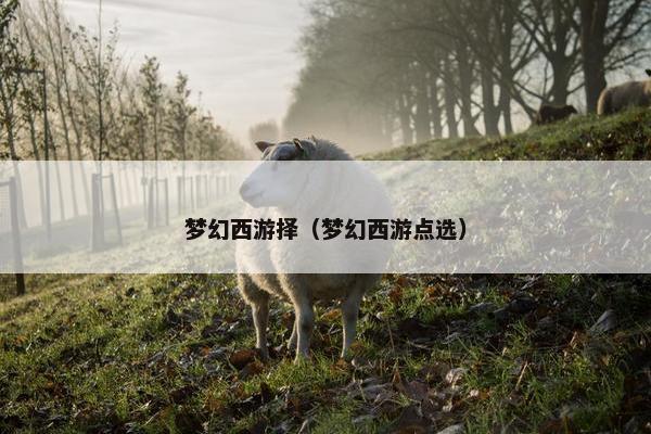 梦幻西游择（梦幻西游点选）