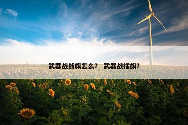 武器战战旗怎么？ 武器战插旗？