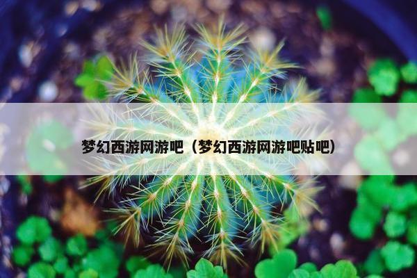 梦幻西游网游吧（梦幻西游网游吧贴吧）