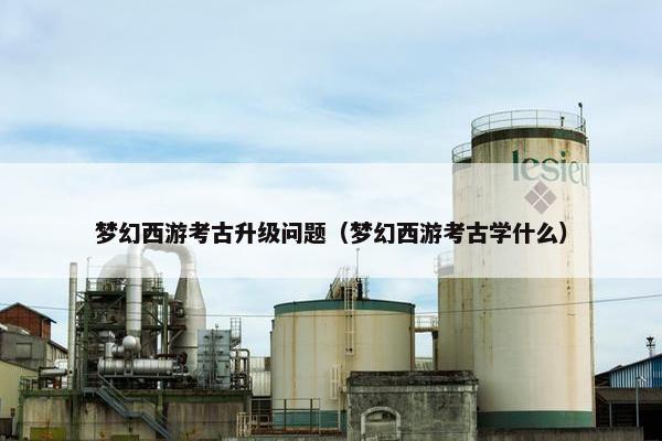 梦幻西游考古升级问题（梦幻西游考古学什么）
