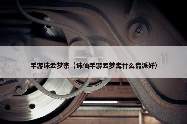 手游诛云梦宗（诛仙手游云梦走什么流派好）